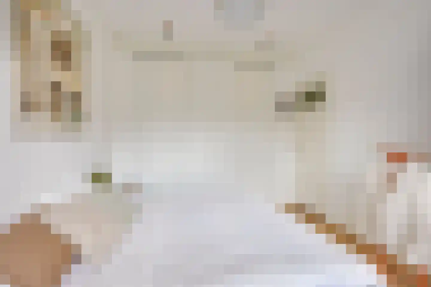 Blauwkapelseweg 67 Utrecht thumbnail 30