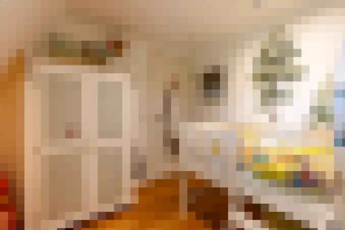 Blauwkapelseweg 67 Utrecht thumbnail 36
