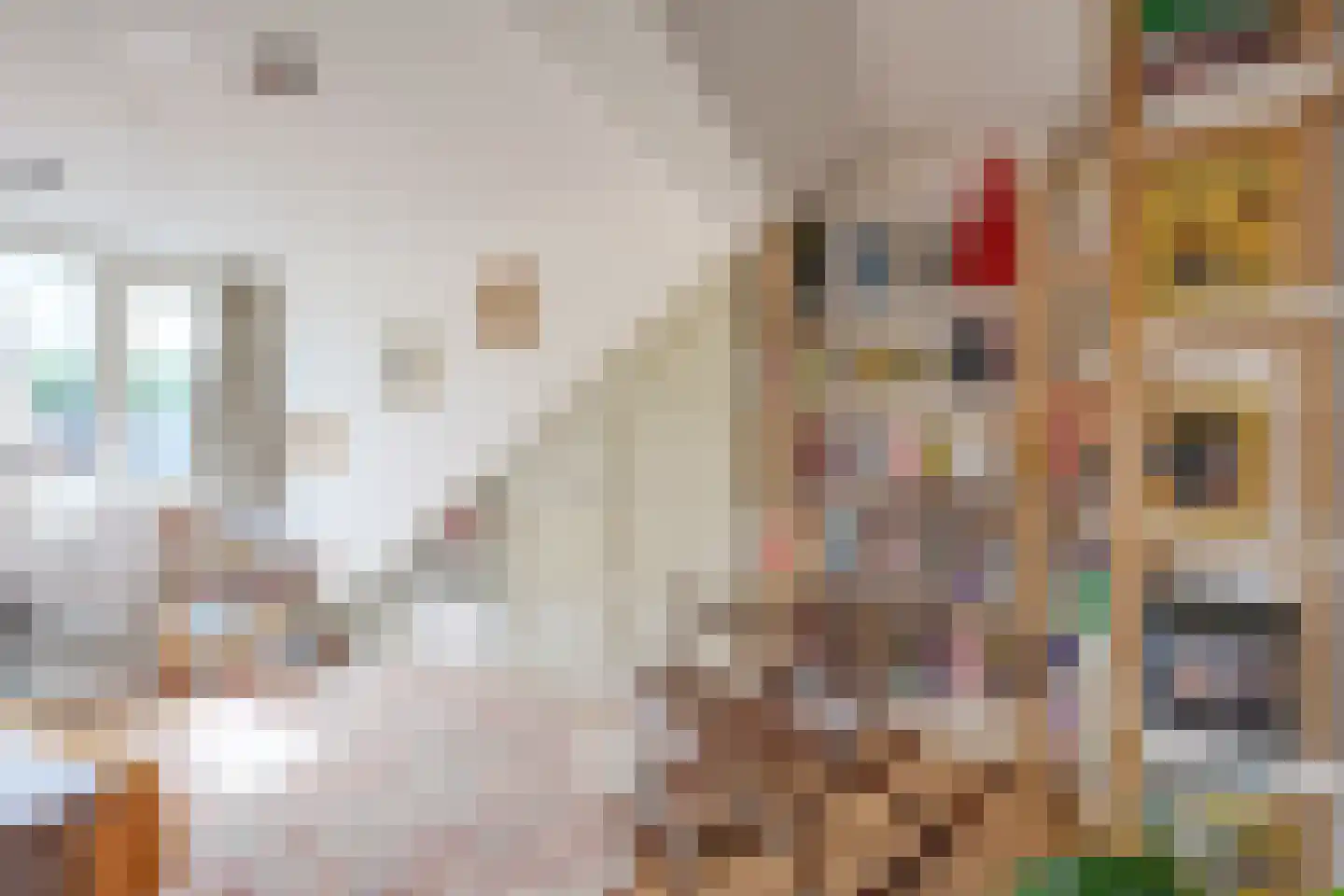 Blauwkapelseweg 67 Utrecht thumbnail 37