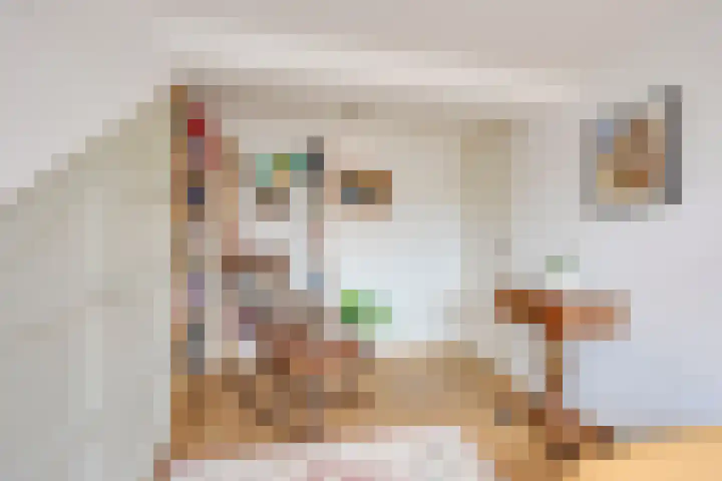 Blauwkapelseweg 67 Utrecht thumbnail 39