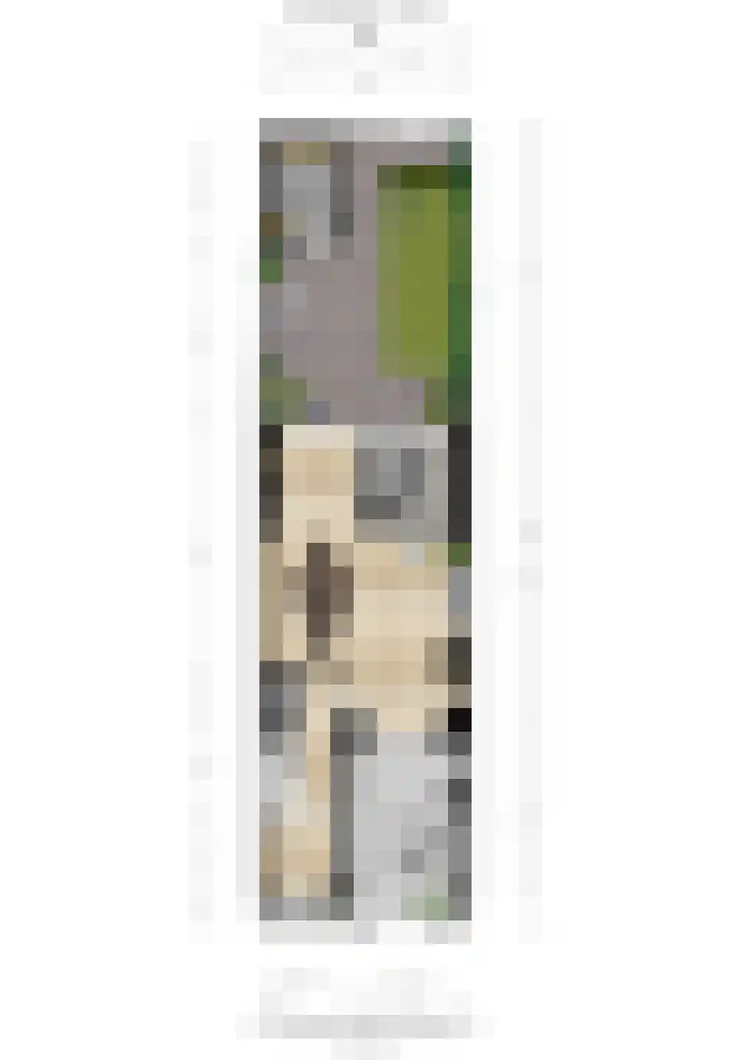 Blauwkapelseweg 67 Utrecht thumbnail 45