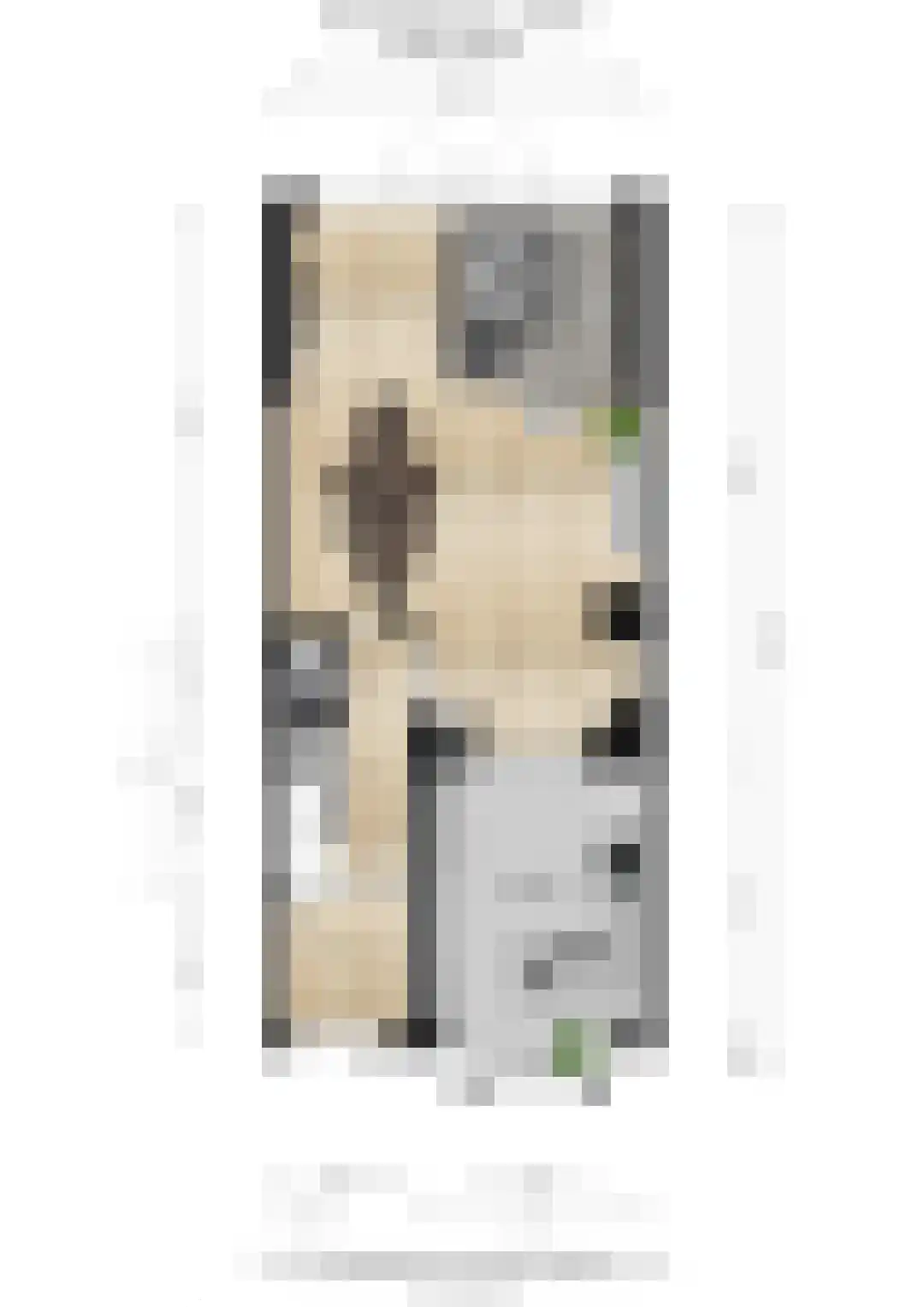 Blauwkapelseweg 67 Utrecht thumbnail 46