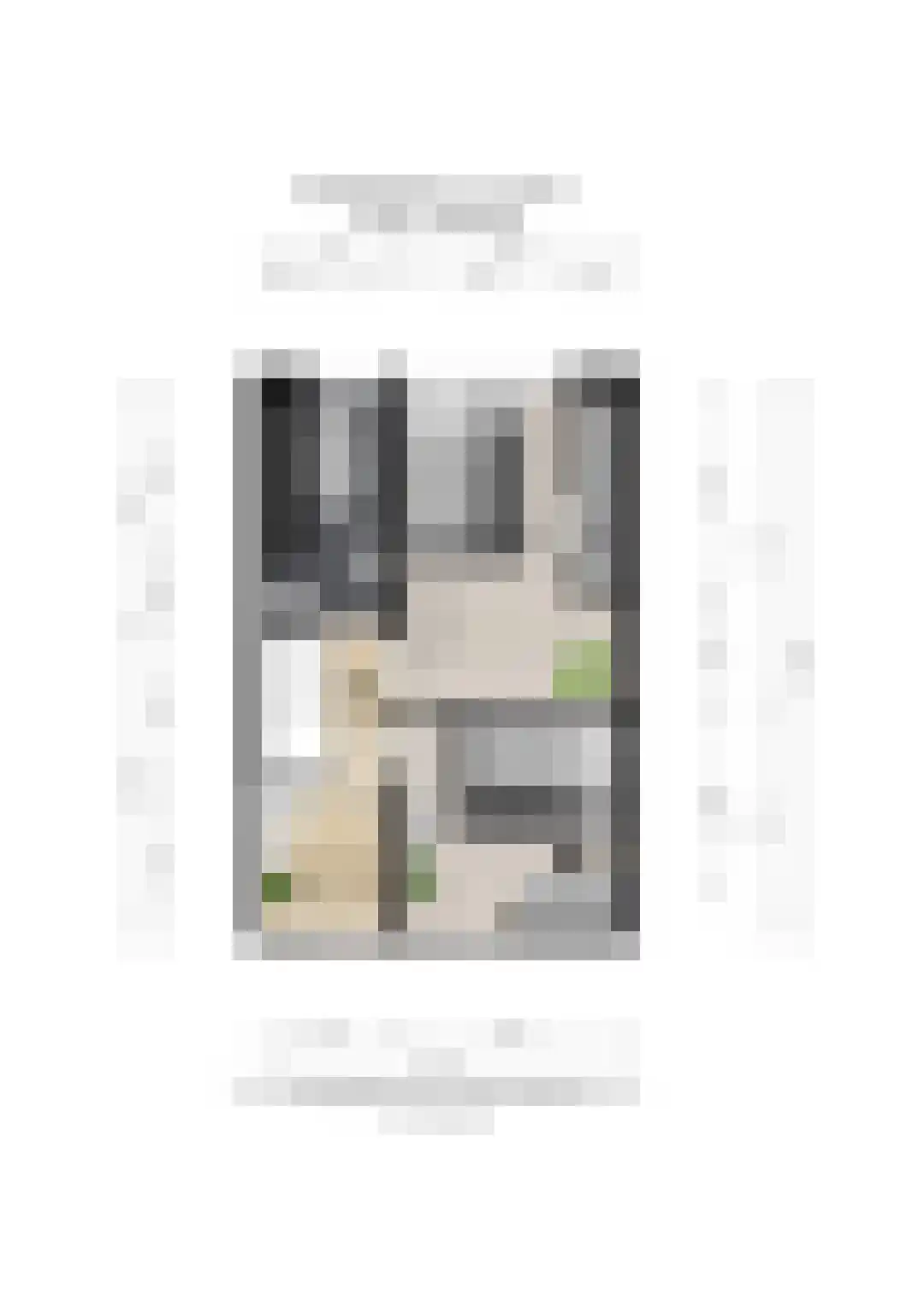 Blauwkapelseweg 67 Utrecht thumbnail 48