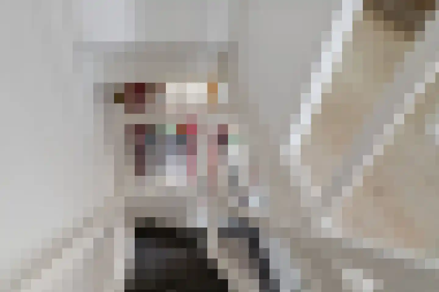 Blauwkapelseweg 73 Utrecht thumbnail 18