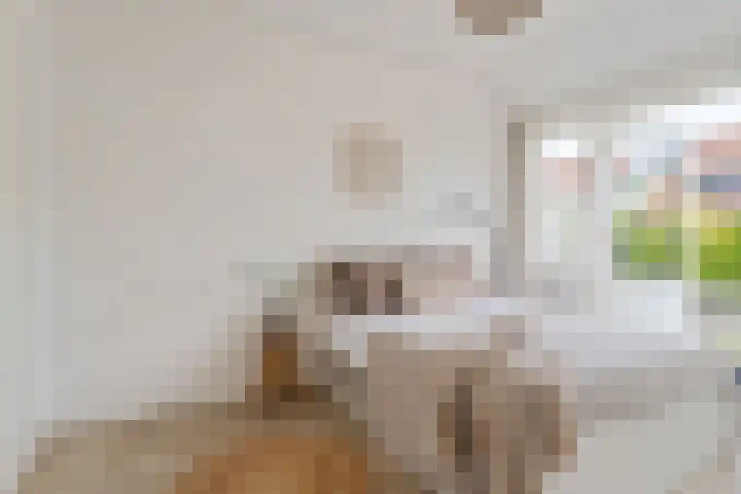 Blauwkapelseweg 73 Utrecht thumbnail 26