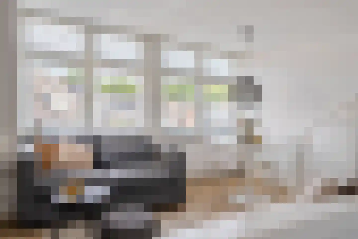 Blauwkapelseweg 73 Utrecht thumbnail 28