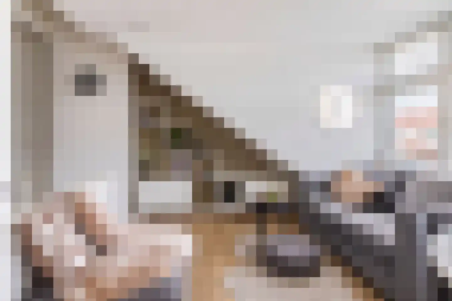 Blauwkapelseweg 73 Utrecht thumbnail 30