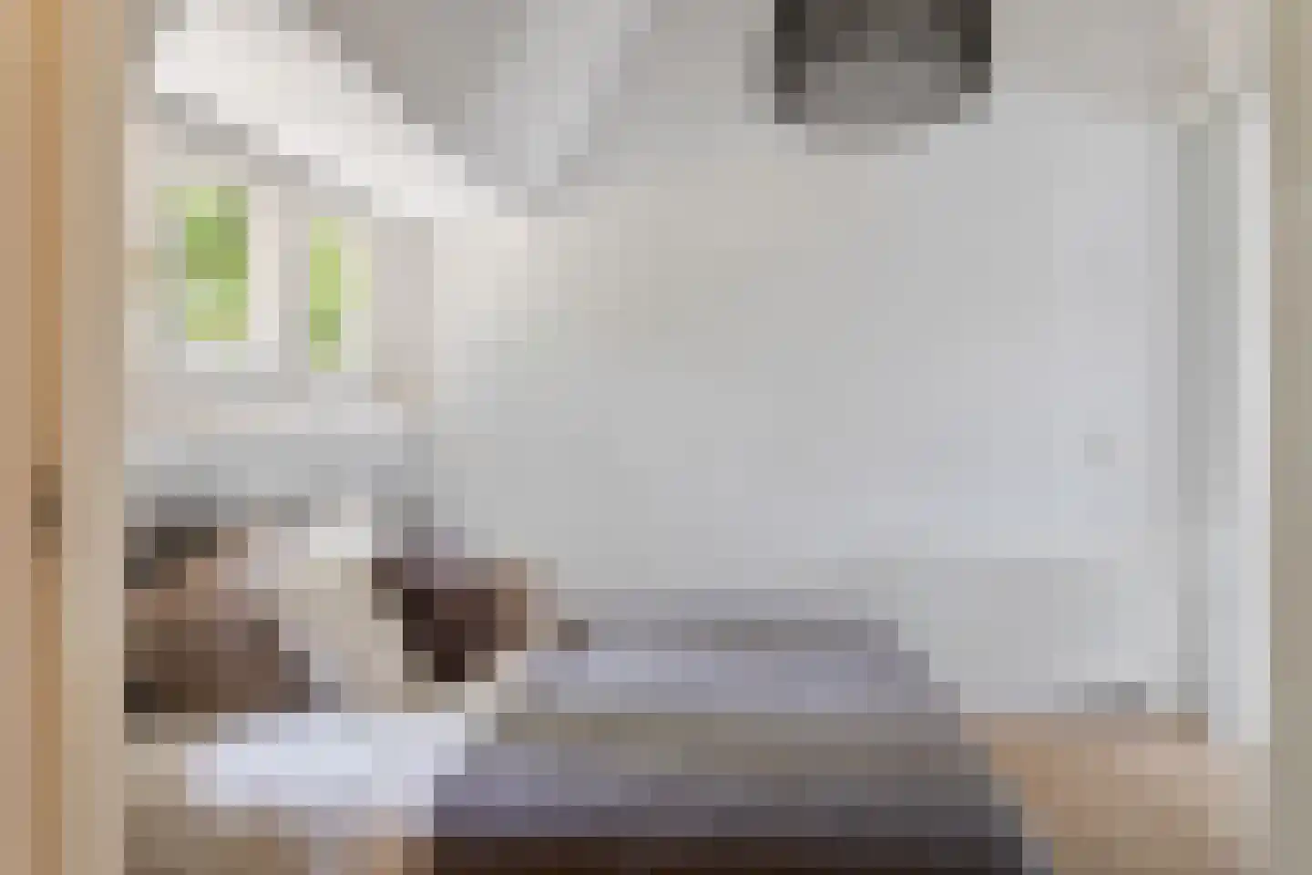 Blauwkapelseweg 73 Utrecht thumbnail 36