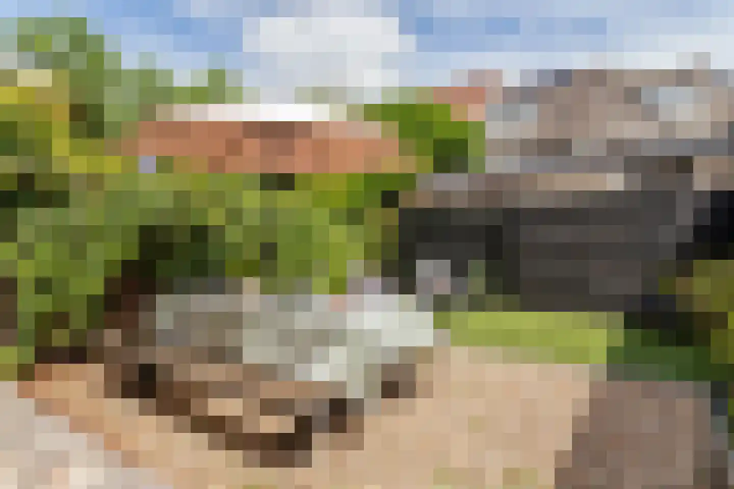 Blauwkapelseweg 73 Utrecht thumbnail 40