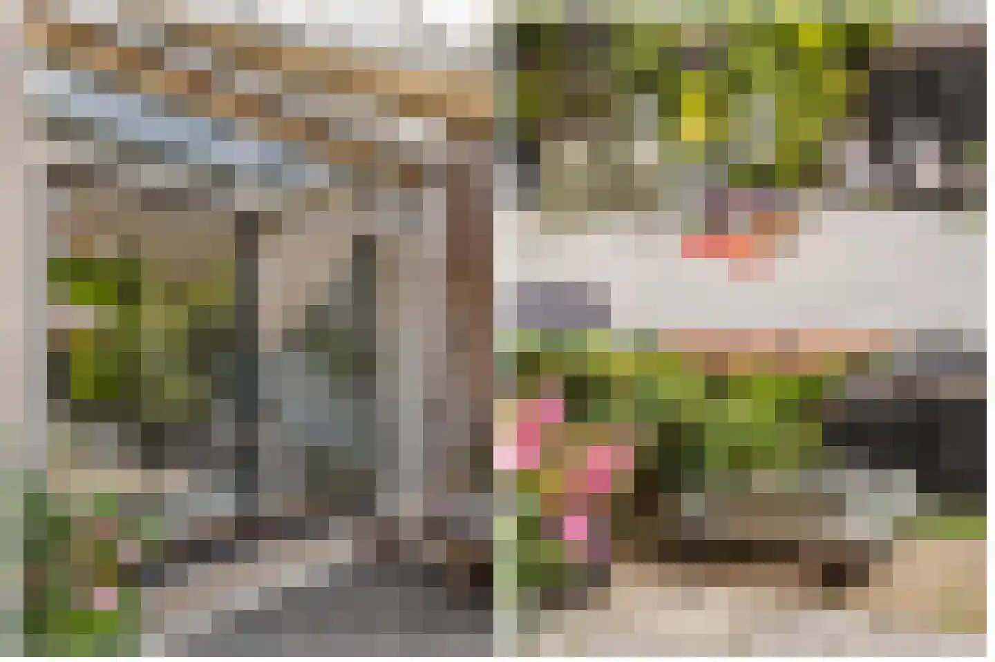 Blauwkapelseweg 73 Utrecht thumbnail 43