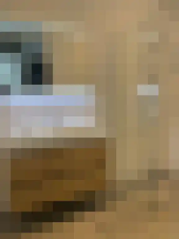 Blauwkapelseweg 79 Utrecht thumbnail 6