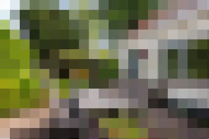 Blauwkapelseweg 8 De Bilt thumbnail 23