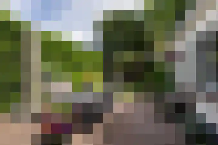 Blauwkapelseweg 8 De Bilt thumbnail 24