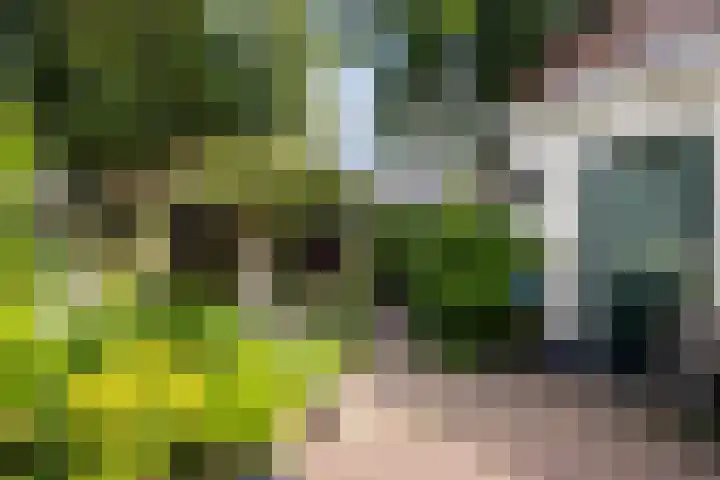 Blauwkapelseweg 8 De Bilt thumbnail 25