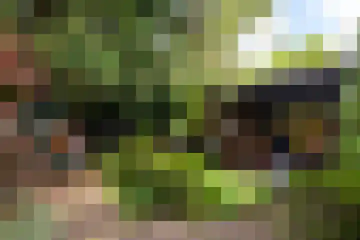 Blauwkapelseweg 8 De Bilt thumbnail 26