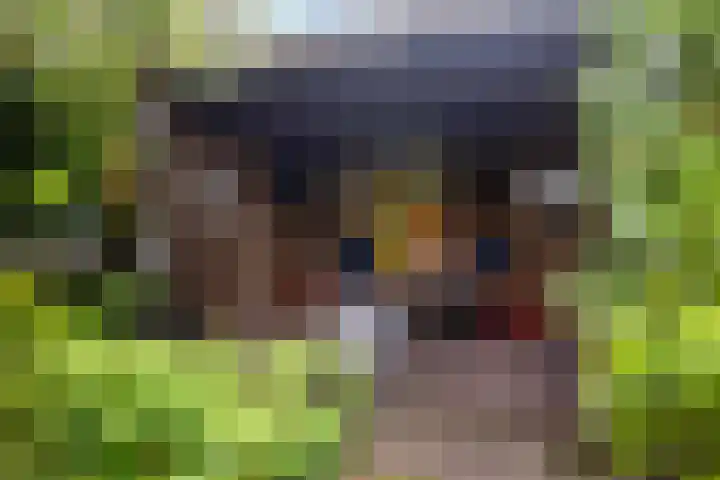Blauwkapelseweg 8 De Bilt thumbnail 27