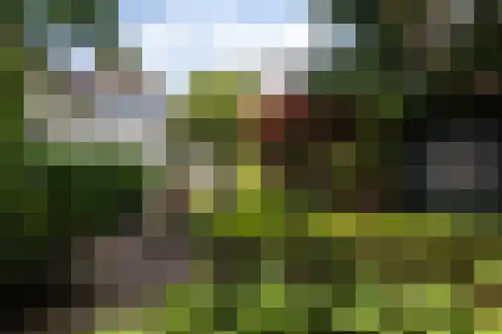 Blauwkapelseweg 8 De Bilt thumbnail 28