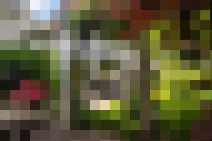 Blauwkapelseweg 8 De Bilt thumbnail 29