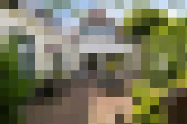 Blauwkapelseweg 8 De Bilt thumbnail 30