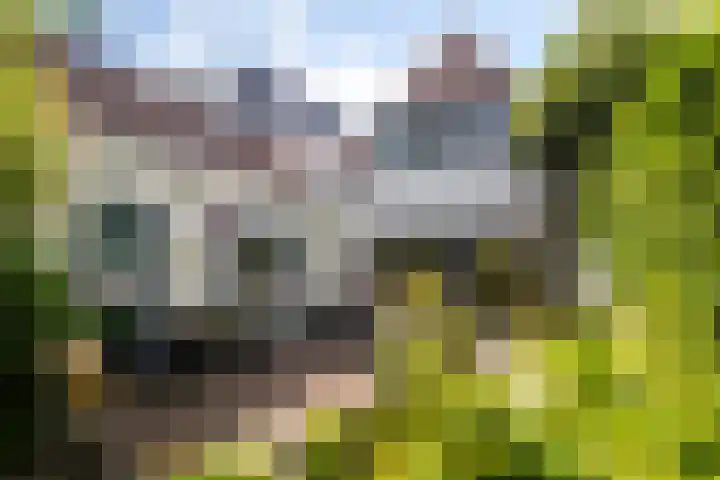Blauwkapelseweg 8 De Bilt thumbnail 31