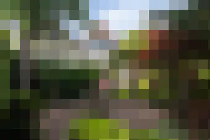 Blauwkapelseweg 8 De Bilt thumbnail 4