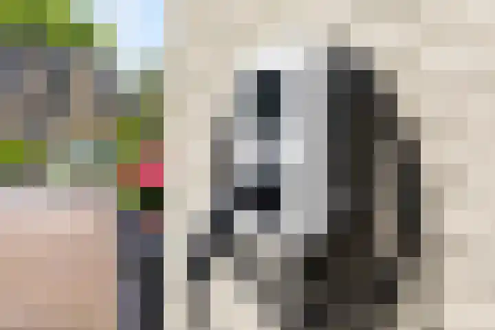 Blauwkapelseweg 8 De Bilt thumbnail 48