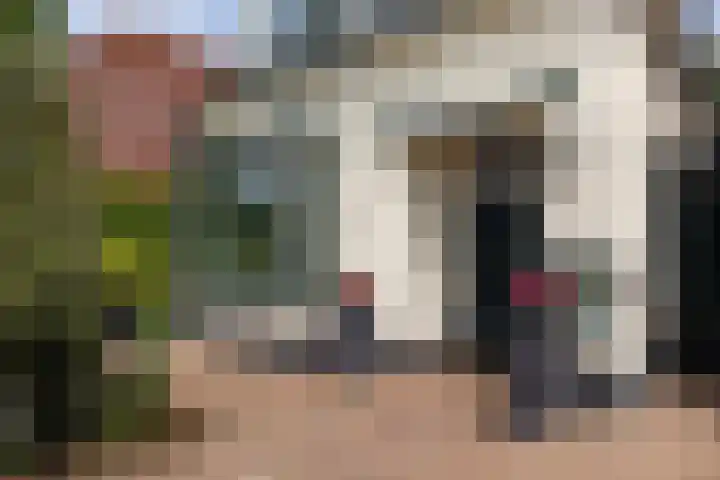 Blauwkapelseweg 8 De Bilt thumbnail 5