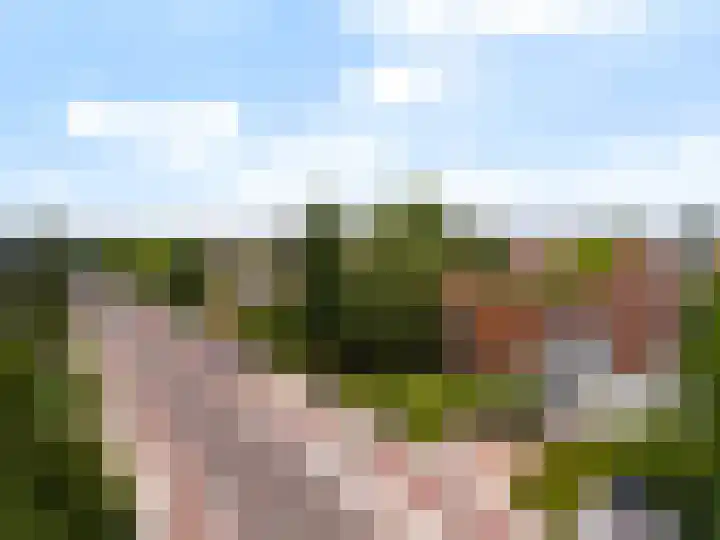 Blauwkapelseweg 8 De Bilt thumbnail 51