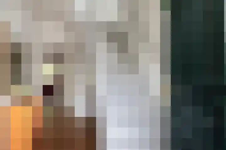 Blauwkapelseweg 8 De Bilt thumbnail 6