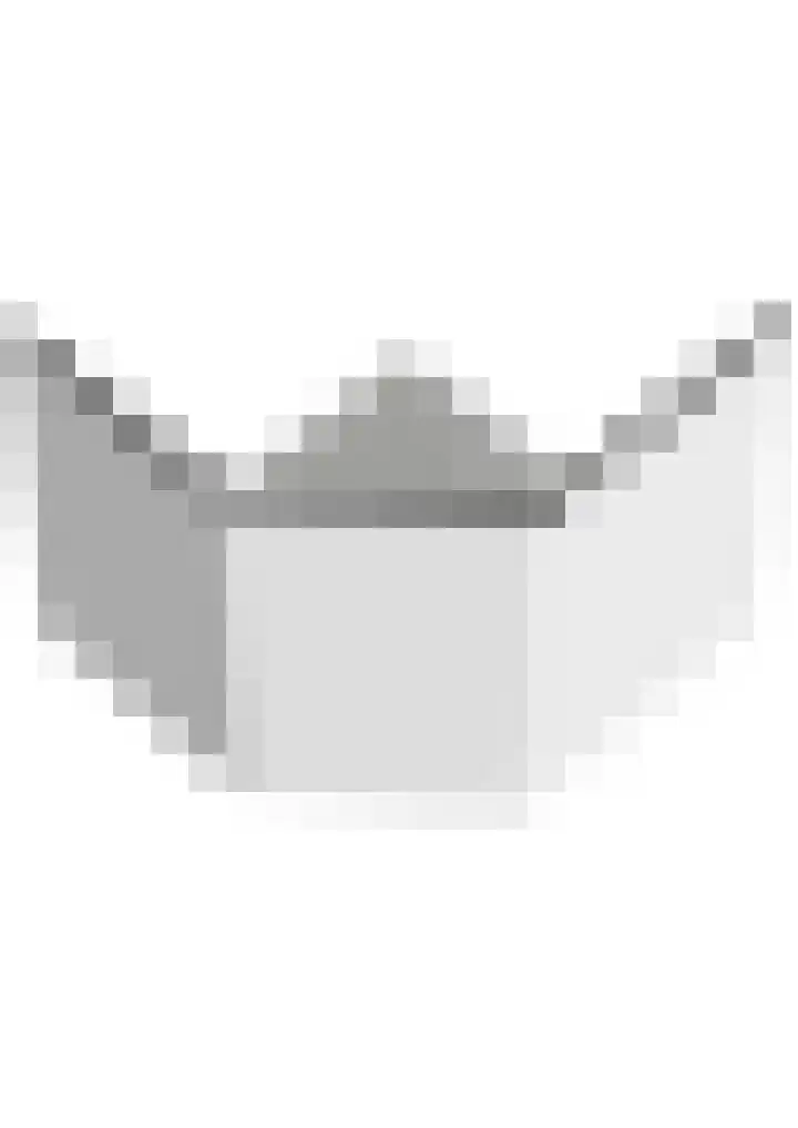 Blauwkapelseweg 8 De Bilt thumbnail 64