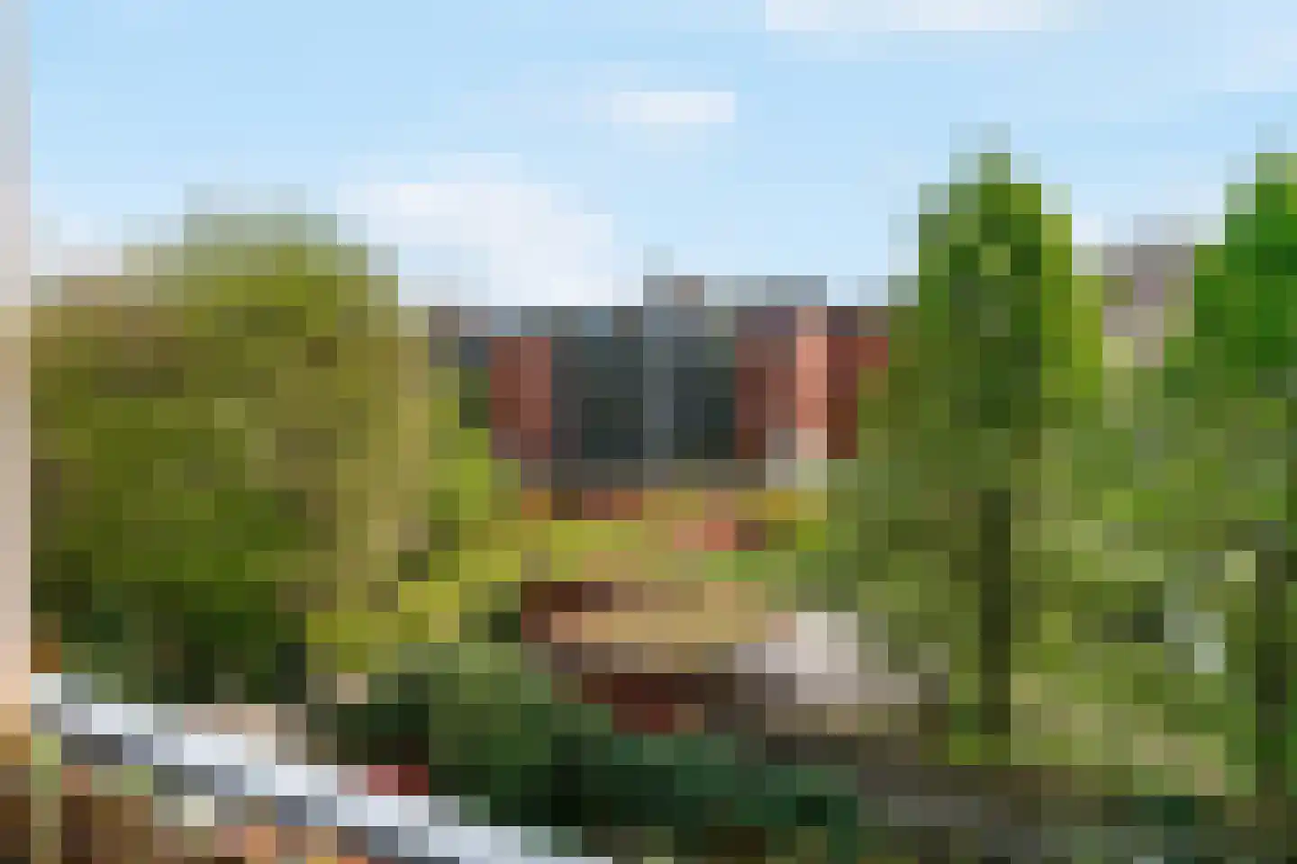 Blauwkapelseweg 93 D Utrecht thumbnail 31