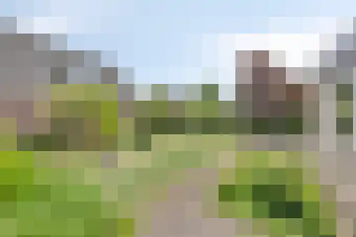 Blauwmaad 3 Oosterwolde thumbnail 30