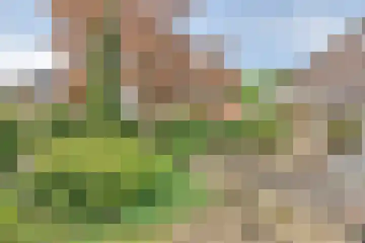Blauwmaad 3 Oosterwolde thumbnail 32
