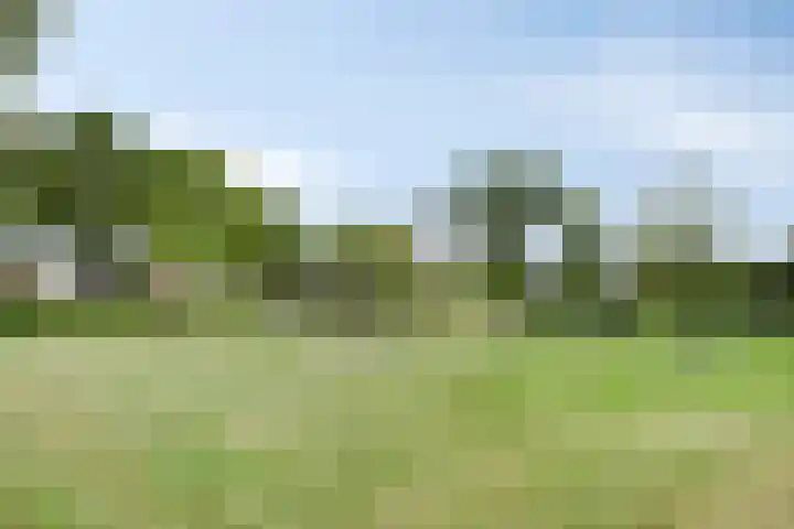 Blauwmaad 3 Oosterwolde thumbnail 34
