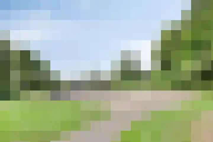 Blauwmaad 3 Oosterwolde thumbnail 35