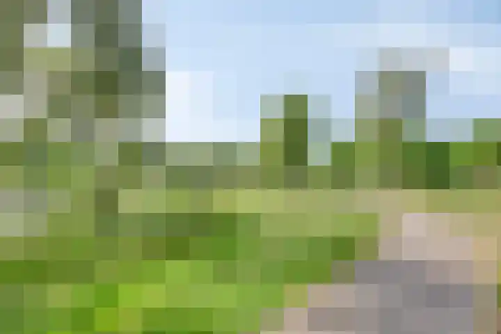 Blauwmaad 3 Oosterwolde thumbnail 36