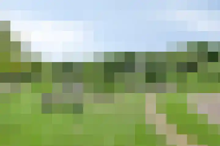 Blauwmaad 3 Oosterwolde thumbnail 38