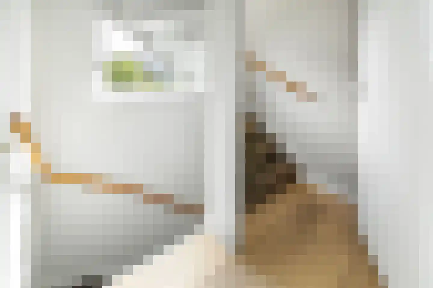 Blauwpijpstraat 29 Amsterdam thumbnail 23