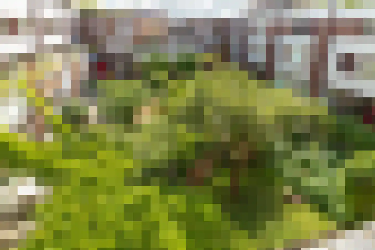 Blauwpijpstraat 29 Amsterdam thumbnail 8