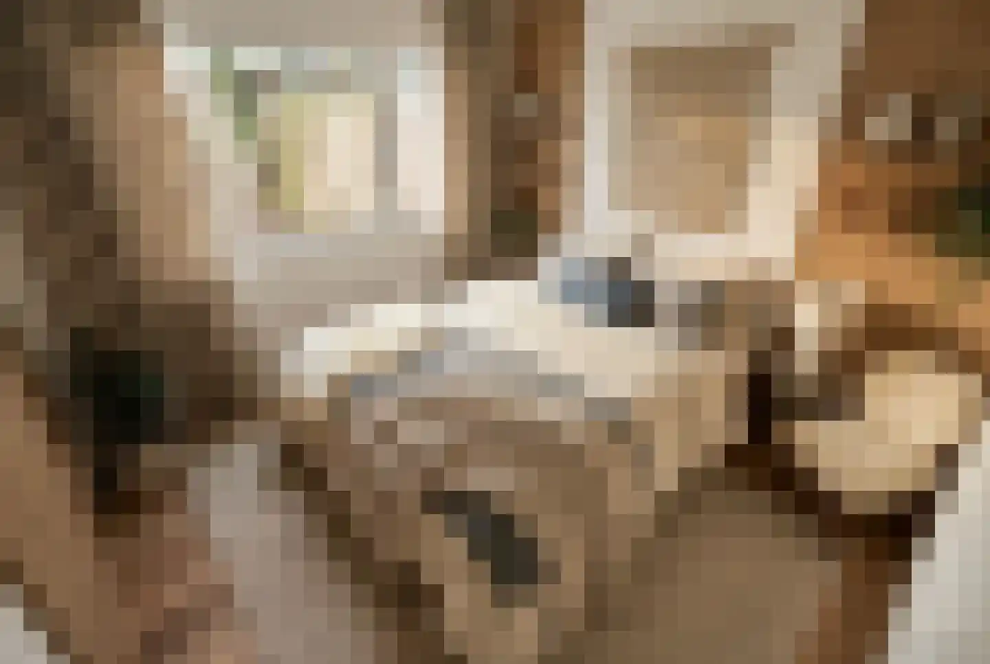 Blauwpolderkade 32 Hoogmade thumbnail 23
