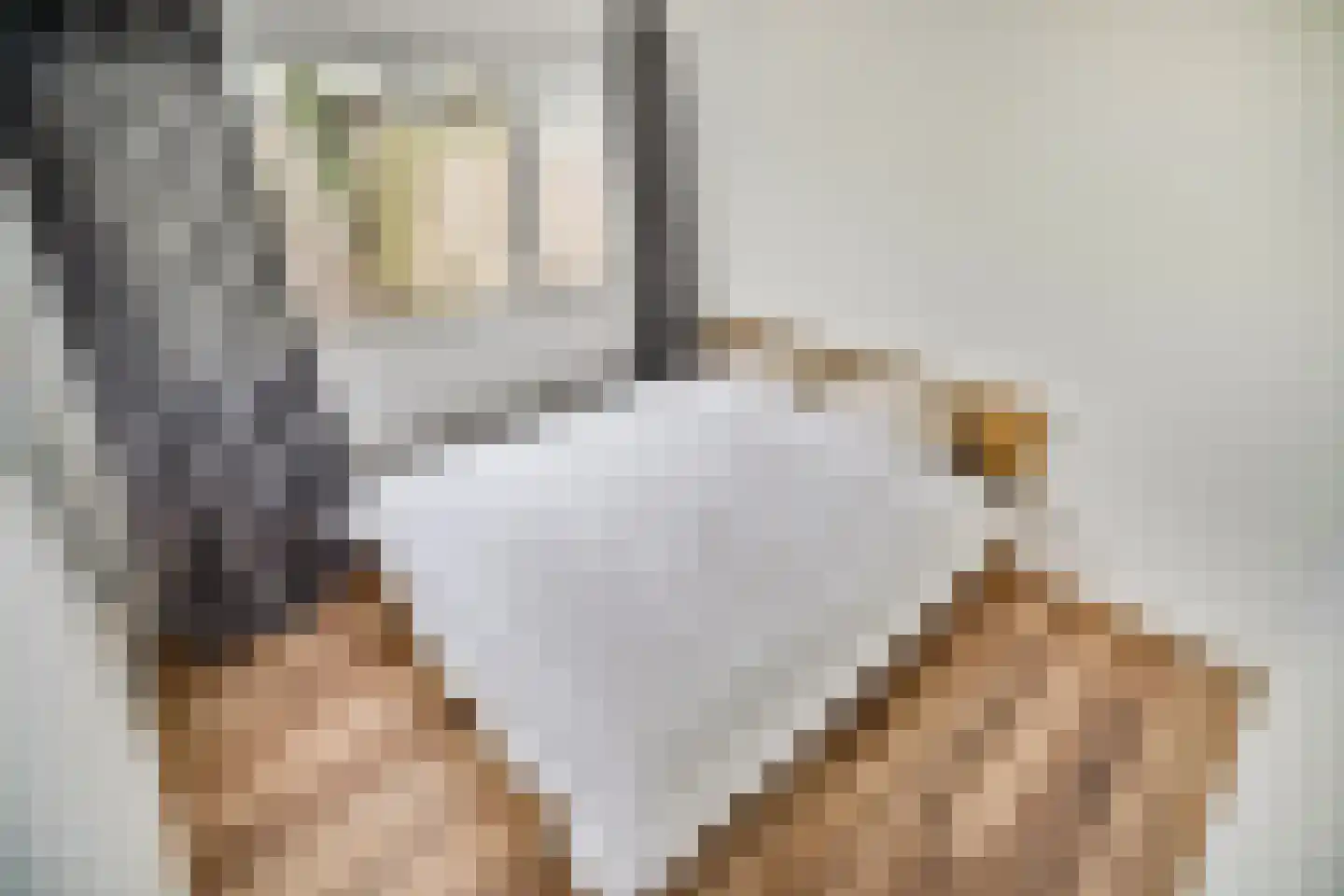 Blauwpolderkade 32 Hoogmade thumbnail 24
