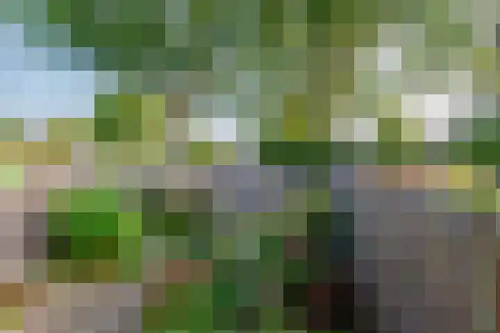 Blauwschildershof 13 Weesp thumbnail 12