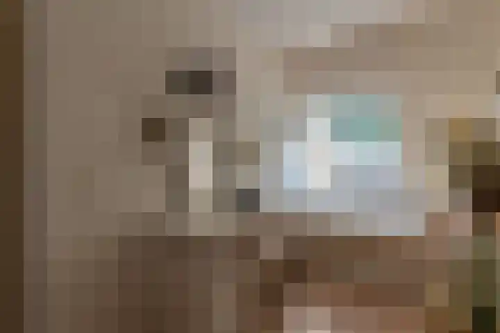 Blauwschildershof 13 Weesp thumbnail 16