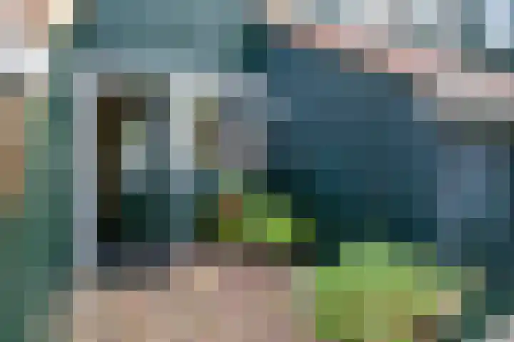 Blauwschildershof 13 Weesp thumbnail 24