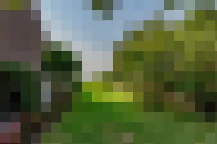 Blauwschildershof 13 Weesp thumbnail 28