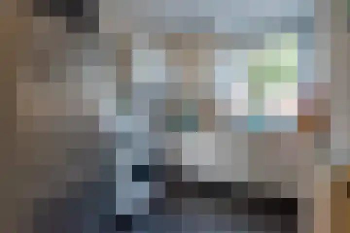 Blauwschildershof 13 Weesp thumbnail 6