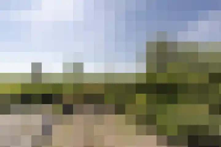 Blauwschildershof 53 Weesp thumbnail 34