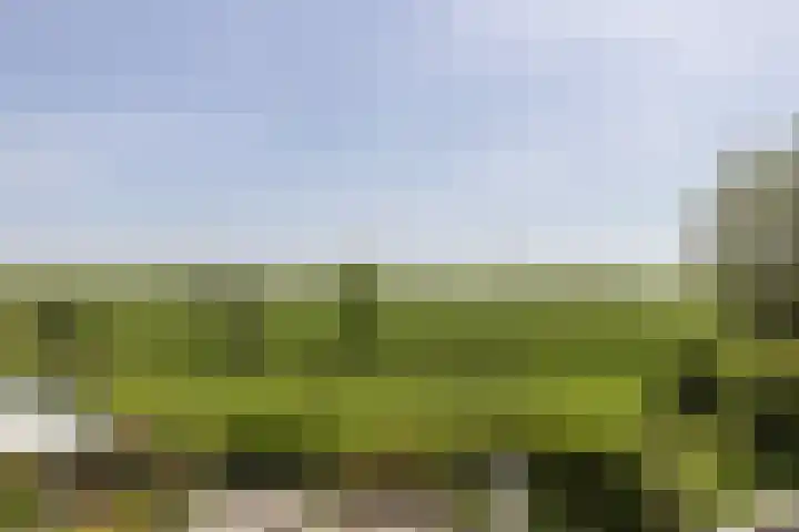 Blauwschildershof 53 Weesp thumbnail 35