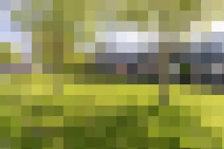 Blauwschildershof 53 Weesp thumbnail 37