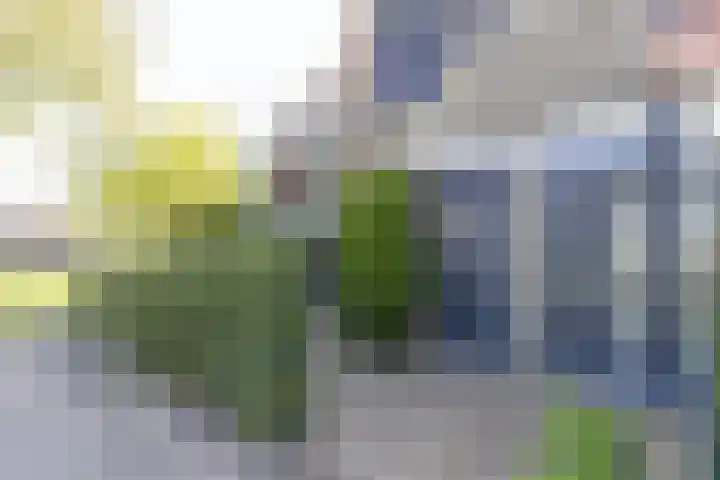 Blauwschildershof 53 Weesp thumbnail 39